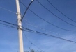 Camión Ruta Alberca choca contra poste en Tarímbaro; hay 6 heridos