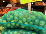 En Michoacán, temporada alta de limón mexicano empieza en octubre