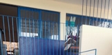 SSM combate el dengue en escuelas de Tierra Caliente