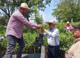 Gobiernos federal y estatal respaldan al sector limonero de Michoacán