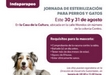 LLEVARÁ SSM JORNADA DE ESTERILIZACIÓN CANINA Y FELINA A INDAPARAPEO