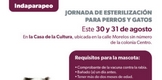 LLEVARÁ SSM JORNADA DE ESTERILIZACIÓN CANINA Y FELINA A INDAPARAPEO
