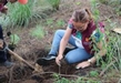 ICATMI PLANTA 400 ÁRBOLES EN PLANTEL DE COMUNIDAD PURÉPECHA DE URUAPAN
