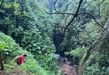 LOCALIZAN SIN VIDA A SANTIAGO, NIÑO QUE FUE ARRASTRADO POR LA CORRIENTE DURANTE UNA TORMENTA EN ARIO DE ROSALES