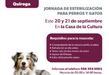 ANUNCIA SSM JORNADA DE ESTERILIZACIÓN CANINA Y FELINA EN QUIROGA