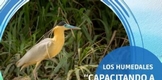 MUHNA INVITA AL CURSO TALLER SOBRE EDUCACIÓN AMBIENTAL PARA LA SUSTENTABILIDAD DE LOS HUMEDALES