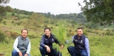 MORELIA SE ACERCA A LA META DE PLANTAR MÁS DE UN MILLÓN DE ÁRBOLES