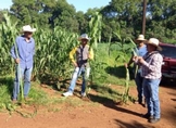 SADER CAPACITA A TÉCNICOS DE AGROSANO SOBRE SELECCIÓN DE MAÍCES NATIVOS