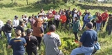 Por cumplirse, meta de reforestación 2023: Cofom