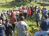 Por cumplirse, meta de reforestación 2023: Cofom