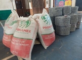 Gobierno de Bedolla apoyó a más de 7 mil pequeños productores con fertilizante a bajo costo