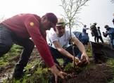 RECONSTRUCCIÓN DE MICHOACÁN INCLUYE EL ENTORNO NATURAL: LUIS NAVARRO