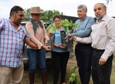 SADER IMPULSA PRODUCCIÓN DE CACAO EN NUEVO URECHO