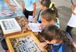 SEE LLEVA FERIAS DE CIENCIA A 6 MIL ALUMNOS