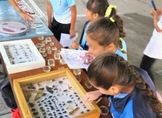SEE LLEVA FERIAS DE CIENCIA A 6 MIL ALUMNOS