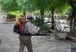 MICHOACÁN, SIN REGISTRO DE BROTE POR CHINCHES: SSM