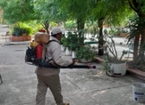 MICHOACÁN, SIN REGISTRO DE BROTE POR CHINCHES: SSM