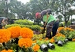 REVISTEN DE COLOR, TRADICIÓN Y CEMPASÚCHIL LOS JARDINES Y PLAZAS DE MORELIA