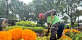 REVISTEN DE COLOR, TRADICIÓN Y CEMPASÚCHIL LOS JARDINES Y PLAZAS DE MORELIA