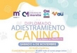 COLEGIO DE MORELIA INVITA A TALLER DE ADIESTRAMIENTO CANINO