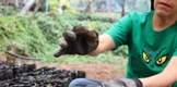 Secma contribuye a la recuperación de 47 especies de árboles en riesgo