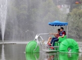 Aventúrate a navegar en el lago del ZooMorelia