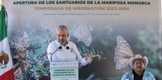 Abren santuarios de la Monarca; se esperan 500 mil visitantes