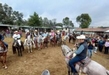 Alfonso Martínez impulsa la producción ganadera de la zona rural de Morelia