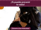 PERMANENTE, VACUNACIÓN ANTIRRÁBICA CANINA Y FELINA EN MORELIA: SSM