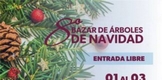 ¿DÓNDE COMPRAR TU ÁRBOL DE NAVIDAD NATURAL? COFOM ANUNCIA SU TRADICIONAL BAZAR