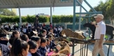 ZOO DE MORELIA FOMENTA LA EDUCACIÓN AMBIENTAL