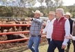 Continúa respaldo a ganaderos; Bedolla entrega apoyos a productores de Morelia