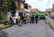 Enjambre de abejas hiere a 8 personas al norte de Morelia