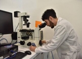 UMSNH es un modelo nacional en investigación; recibe reconocimiento de “Laboratorio Nacional CONAHCYT de Bioseguridad Agroalimentaria”