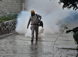 Michoacán cierra 2023 por debajo de la media nacional en casos de dengue