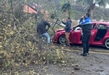 Auto choca contra árbol colapsado en la Av. Camelinas de Morelia