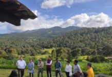 IMPLEMENTA SECMA PROGRAMA DE MANEJO PARA CONSERVACIÓN DE EL TOCUZ