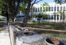 HABRÁ INTERNET PARA TODA CIUDAD UNIVERSITARIA, PREPARATORIAS Y UNIDADES PROFESIONALES DE LA UMSNH