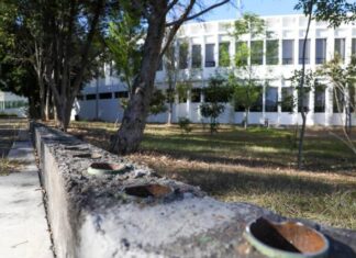 HABRÁ INTERNET PARA TODA CIUDAD UNIVERSITARIA, PREPARATORIAS Y UNIDADES PROFESIONALES DE LA UMSNH