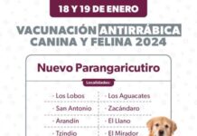 ANUNCIA SSM CAMPAÑA DE VACUNACIÓN ANTIRRÁBICA EN LOCALIDADES DE NUEVO PARANGARICUTIRO