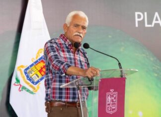 CONOCE LOS REQUISITOS PARA EL CERTIFICADO DE ORIGEN Y MOVILIZACIÓN DEL LIMÓN