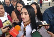 HABRÁ AUDITORÍA VIAL EN ZONAS DE RIESGO PARA PEATONES: SEDUM
