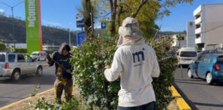REALIZA GOBIERNO MUNICIPAL ACCIONES DE MANTENIMIENTO Y LIMPIEZA EN PERIFÉRICO PASEO DE LA REPÚBLICA