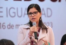 MICHOACÁN CERRÓ 2023 CON LA CIFRA MÁS BAJA DE FEMINICIDIOS EN 4 AÑOS: SEIMUJER