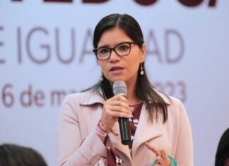 MICHOACÁN CERRÓ 2023 CON LA CIFRA MÁS BAJA DE FEMINICIDIOS EN 4 AÑOS: SEIMUJER