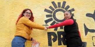 En Michoacán, el PRD está vivo, con amplia participación y vigencia