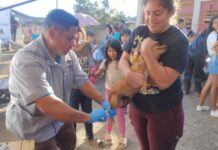Más de 85 mil uruapenses beneficiados con las Caravanas de la Salud