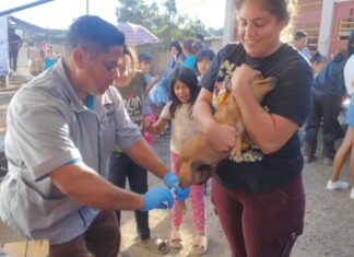 Más de 85 mil uruapenses beneficiados con las Caravanas de la Salud