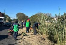 Río Grande y Col. Obrera, brillan con jornada de limpieza del Ayuntamiento de Morelia