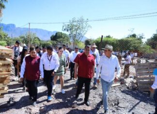 En abril entrará en funciones centro de salud mental de Huetamo: SSM
